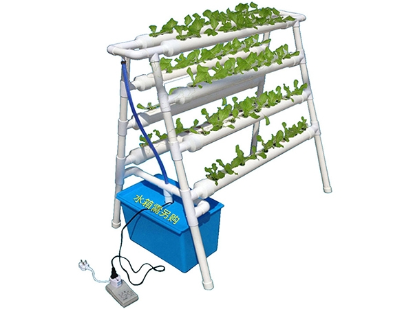 无土栽培种菜机-双面梯